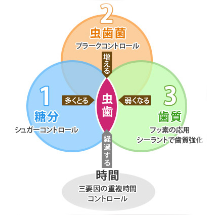 虫歯の原因